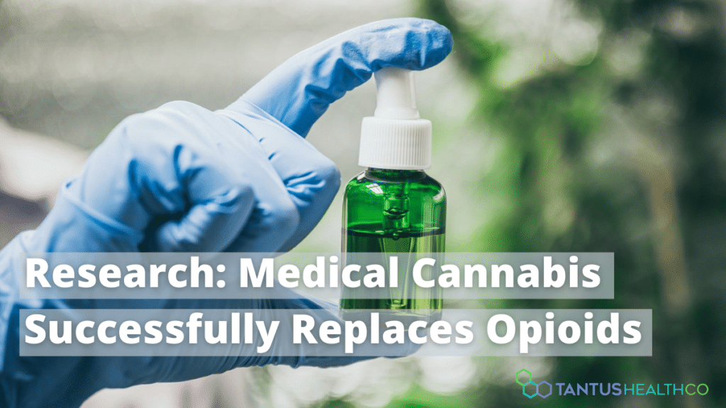 medical cannabis canada opioids