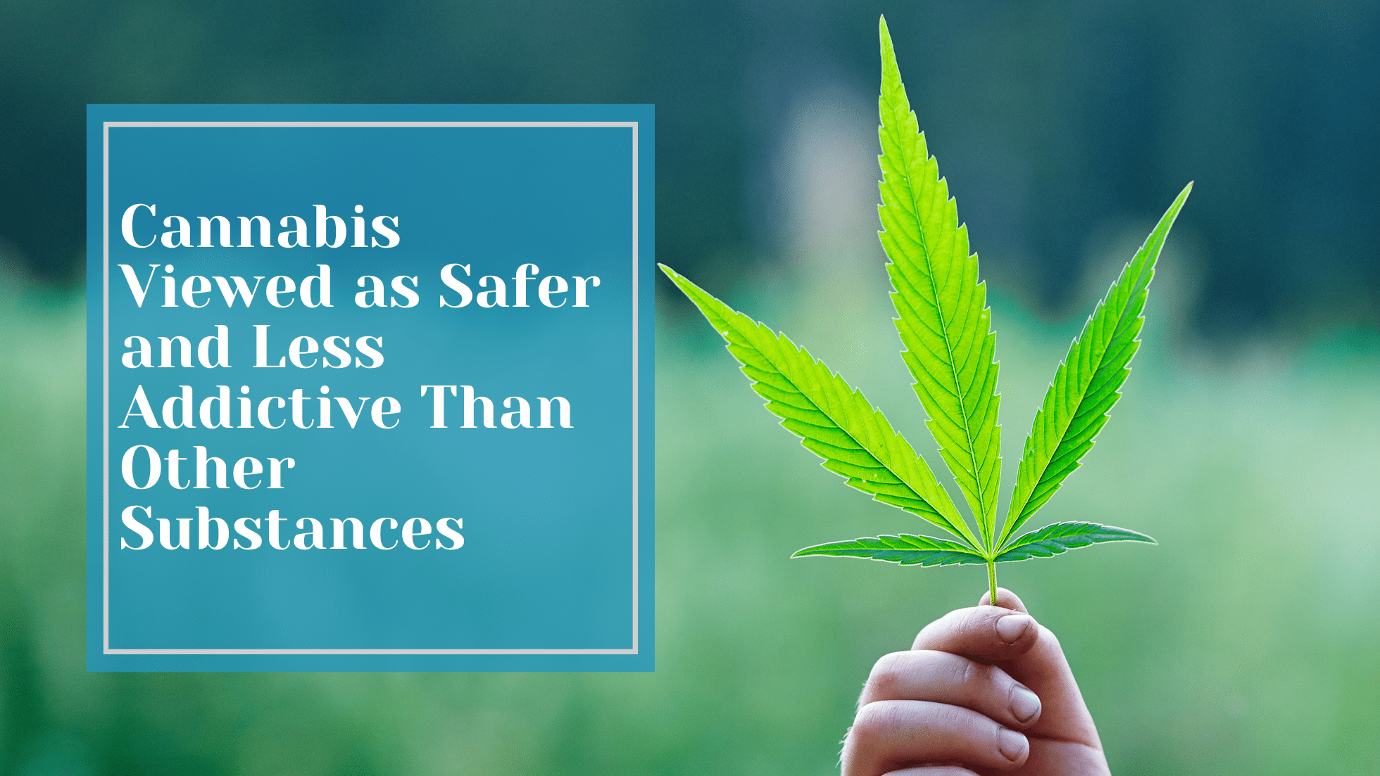 study finds cannabis safer than other substances