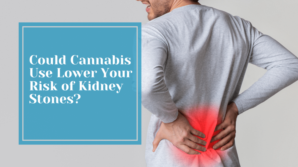 medical cannabis kidney stones