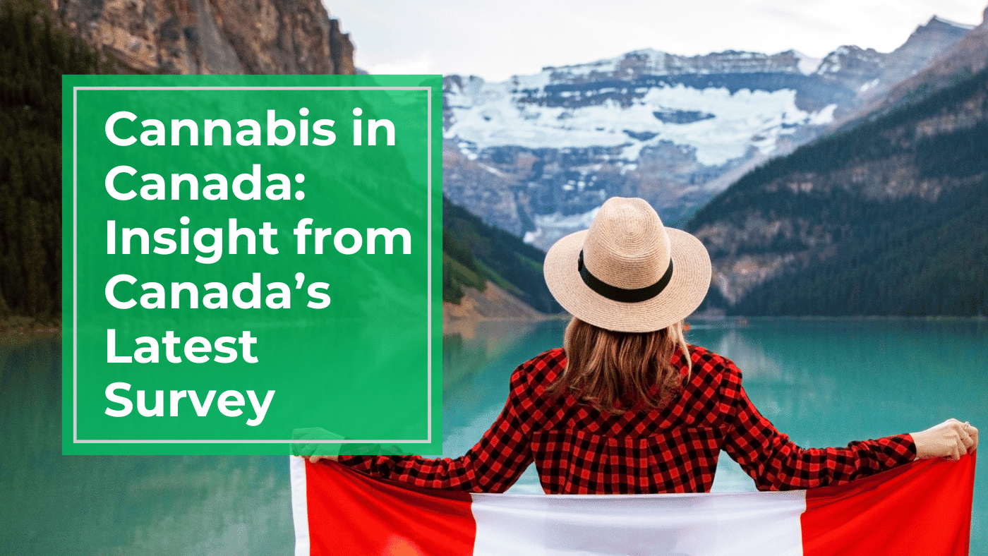 canadian cannabis survey